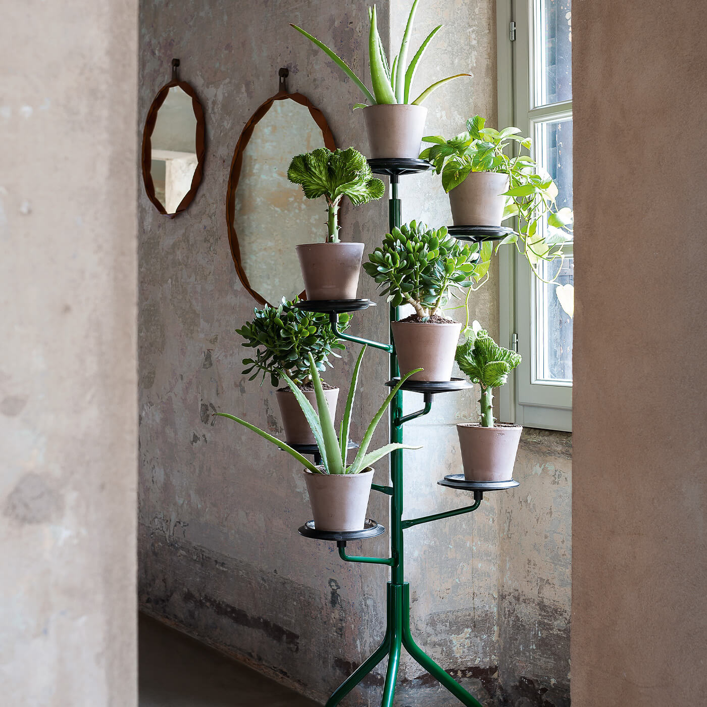 Albero Plant Stand | Haworth